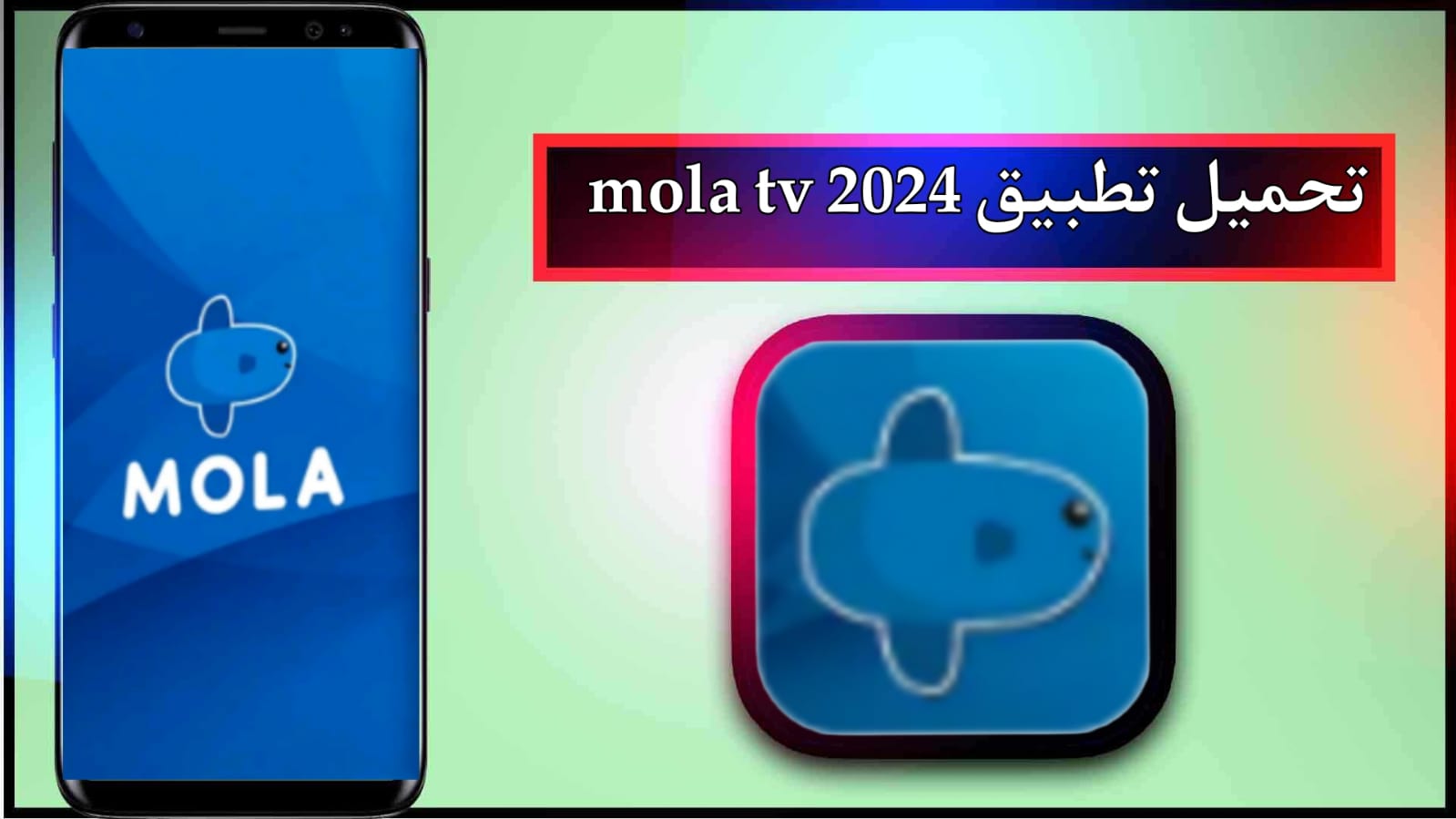 تحميل تطبيق mola tv لمشاهدة الافلام والمسلسلات 2024 مجانا